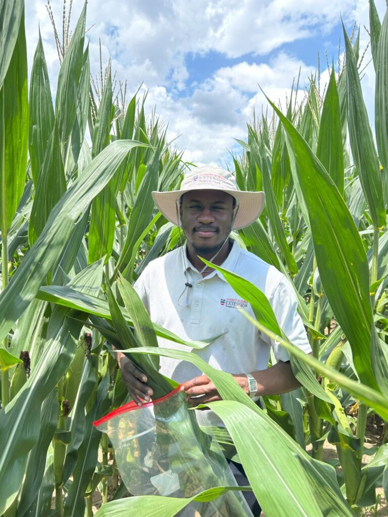 Joshua at a corn field